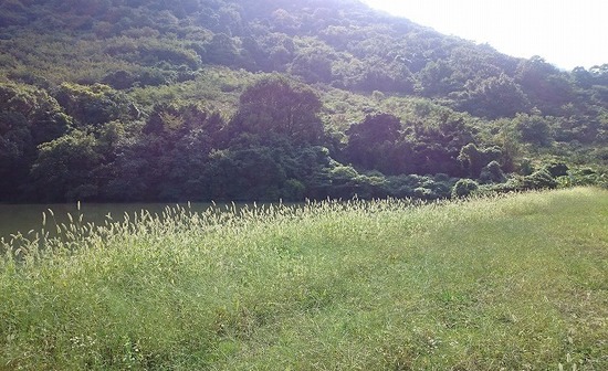 DSC_0809.jpg