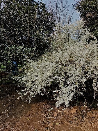DSC_8382.jpg