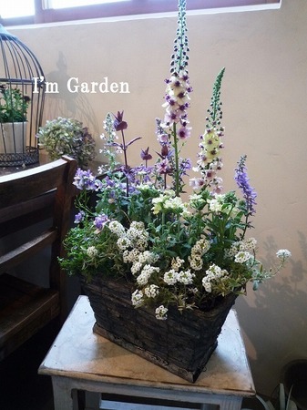 寄せ植え1.jpg