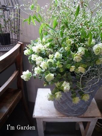 寄せ植えm.jpg