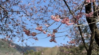 IMG_0589.jpg