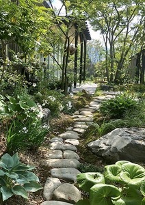 IMG_4873.jpg