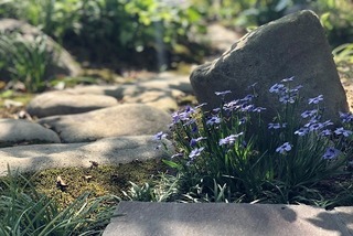 IMG_4986.jpg