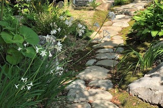 IMG_4994.jpg