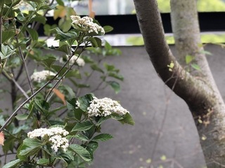 IMG_5685.jpg