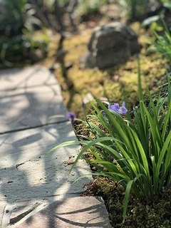 IMG_5788.jpg