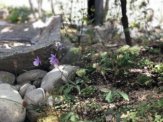 IMG_5840.jpg