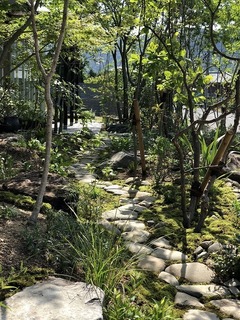 IMG_6350.jpg