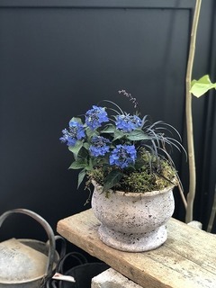 IMG_6471.jpg