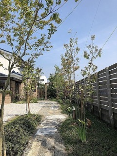 IMG_6876.jpg