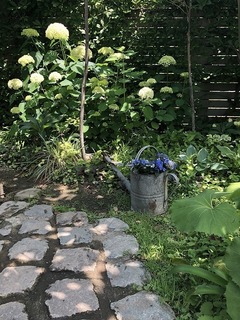 IMG_7490.jpg