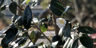 IMG_7875.jpg