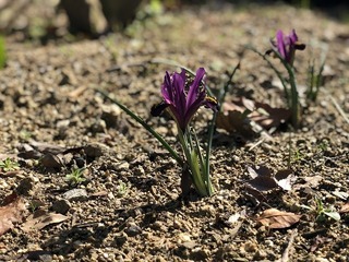 IMG_9081.jpg