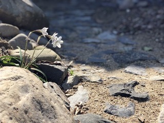 IMG_9109.jpg