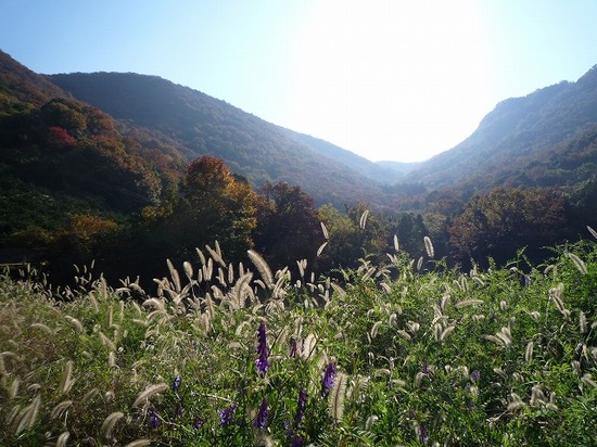 P1360515.jpg
